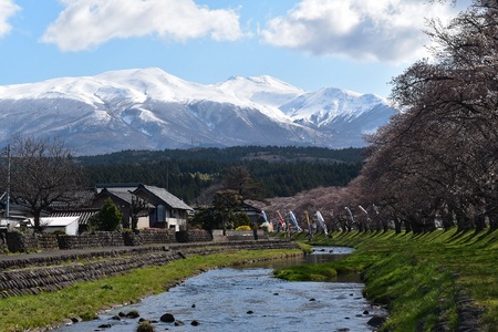 DSC_1977 - コピー.JPG