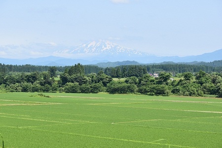 DSC_0010 - コピー.JPG