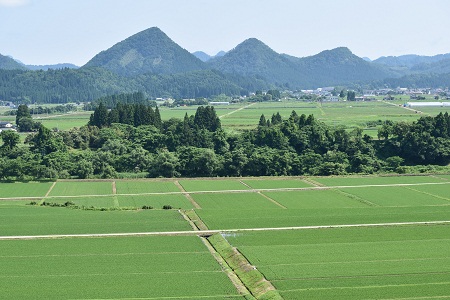 DSC_0019 - コピー.JPG