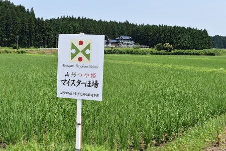 DSC_0023 - コピー.JPG