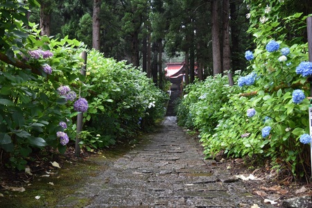 DSC_2189 - コピー.JPG