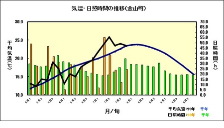 金山気温.jpg