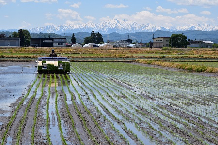 DSC_0146 - コピー.JPG