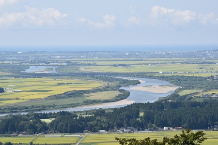 DSC_0374 - コピー.JPG