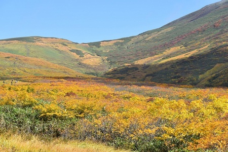 DSC_0415 - コピー.JPG