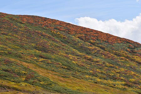 DSC_0429 - コピー.JPG