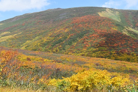 DSC_0438 - コピー.JPG