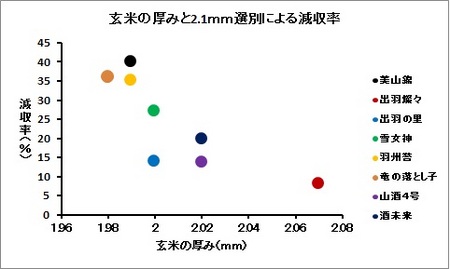 玄米の厚さと減収率.jpg