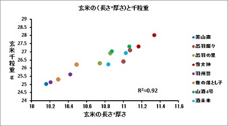 玄米形状と千粒重(2).jpg