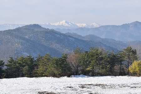 DSC_0640 - コピー.JPG