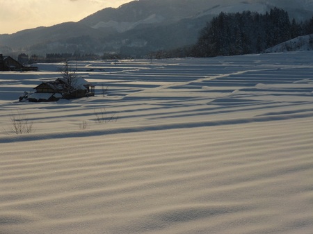 P1030183 - コピー.JPG