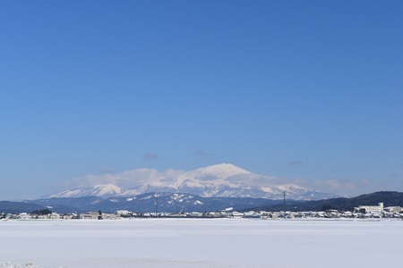 DSC_0738 - コピー.JPG