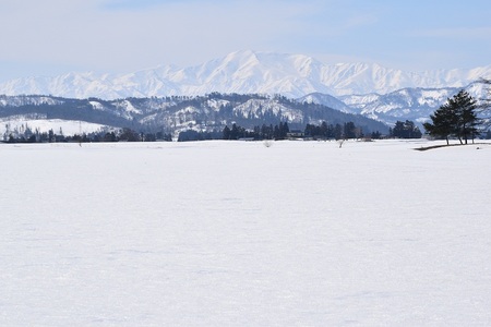 DSC_0838 - コピー.JPG