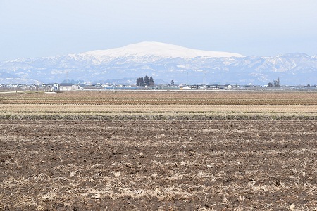 DSC_0878 - コピー.JPG