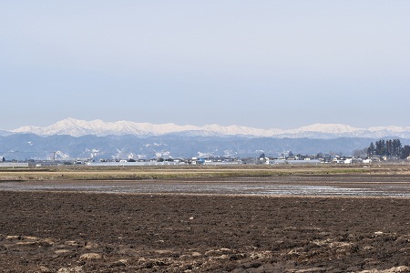 DSC_0880 - コピー.JPG