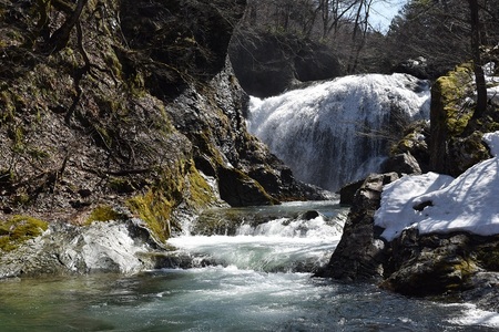 DSC_0910 - コピー.JPG