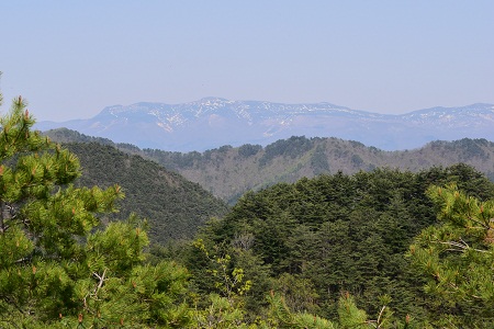 DSC_1068 - コピー.JPG