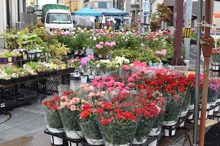 DSC_1099.JPG