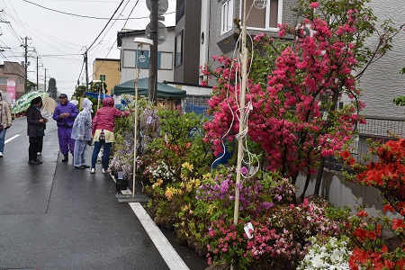 DSC_1100.JPG