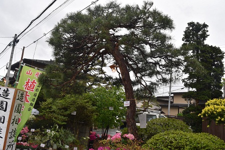 DSC_1102.JPG