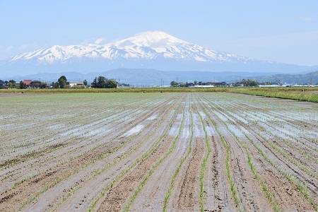 DSC_1130 - コピー.JPG