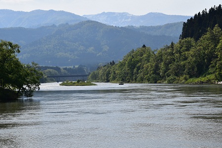 DSC_1177 - コピー.JPG