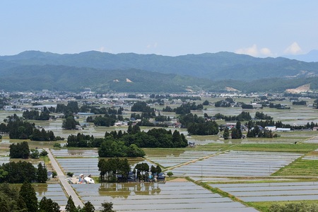 DSC_1211 - コピー.JPG