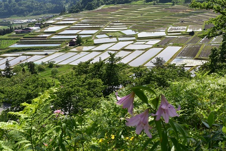 DSC_1218 - コピー.JPG