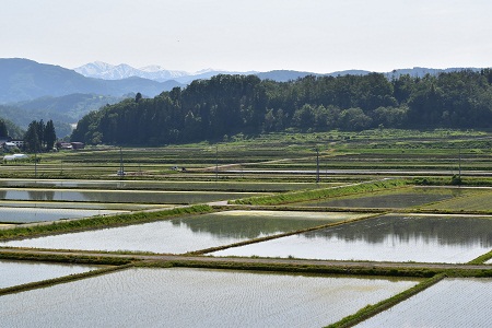 DSC_1228 - コピー.JPG