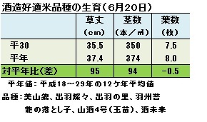 生育状況（6月20日）.jpg