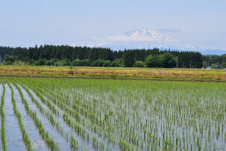 DSC_1276 - コピー.JPG