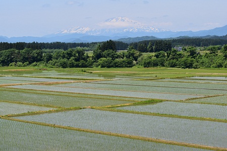 DSC_1278 - コピー.JPG