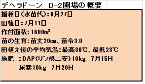 D-2.jpg