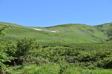 DSC_1696 - コピー.JPG