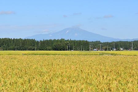 DSC_1755 - コピー.JPG