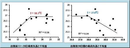 気温と千粒重.jpg
