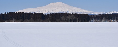 DSC_1428.JPG