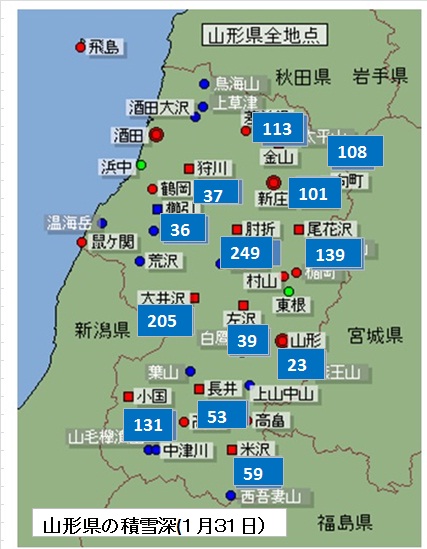 積雪深(１月31日）.jpg