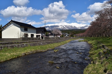 DSC_0326 - コピー.JPG