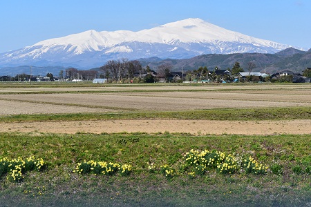 DSC_0349 - コピー.JPG