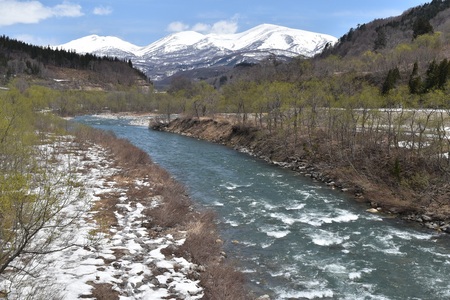 DSC_0457 - コピー.JPG