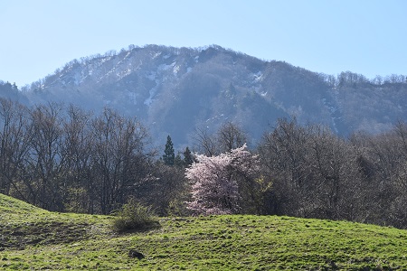 DSC_0505 - コピー.JPG