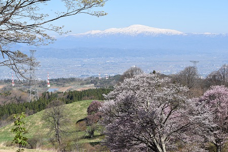 DSC_0517 - コピー.JPG