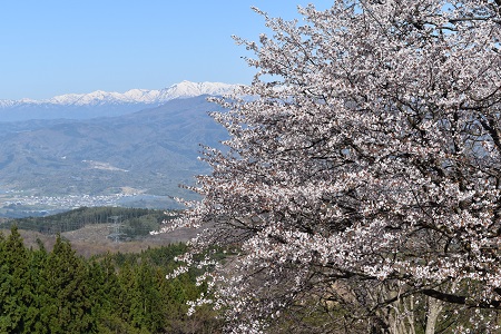 DSC_0523 - コピー.JPG