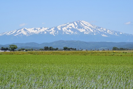 DSC_0700 - コピー.JPG