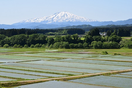 DSC_0710 - コピー.JPG