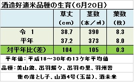 ６月20日調査.jpg