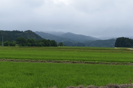 DSC_0846.JPG