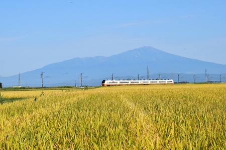 DSC_1201 - コピー.JPG