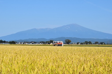 DSC_1229 - コピー.JPG
